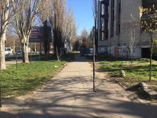 забор кедрового