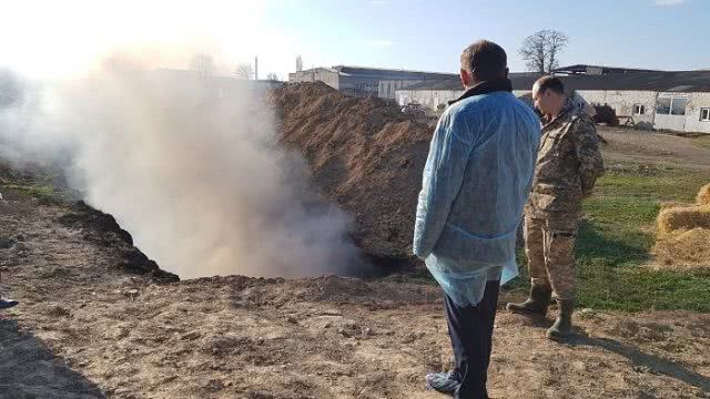 В Каховском районе обследуют дворы из-за свиного гриппа