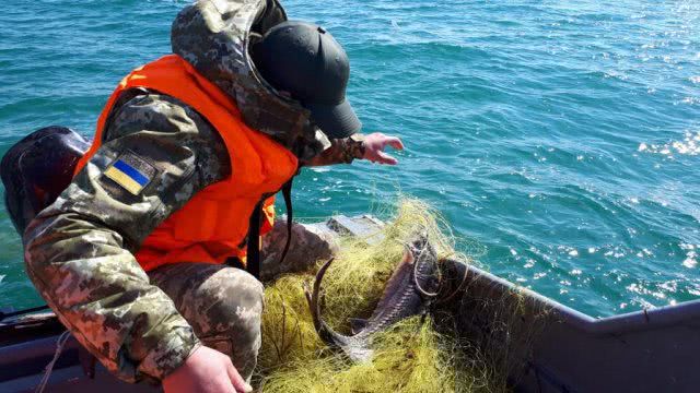 На Херсонщине пограничники обнаружили браконьерскую сеть с уловом на 200 тысяч гривен