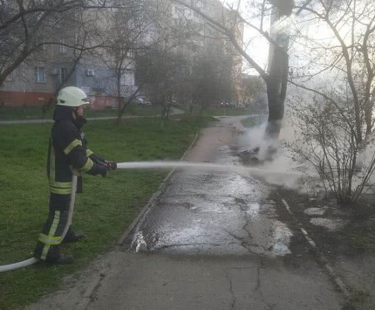 За минулу добу ліквідовано шість пожеж на відкритих територіях