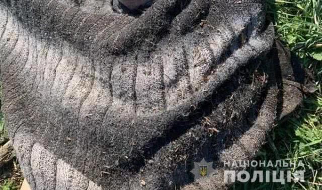 Полиция просит херсонцев помочь установить личность умершего мужчины