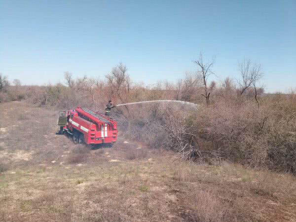 В Олешківському районі ліквідовано масштабну пожежу сухостою на підступах до лісу