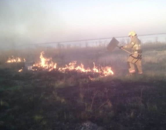 У Бериславському районі вогнеборці загасили сухостій на підступах до лісництва