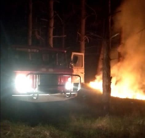 За минулу добу на відкритих територіях Херсонської області ліквідовано 6 пожеж