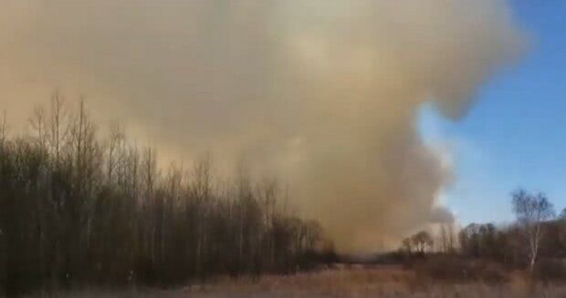 Пожар в Украине, скриншот видео