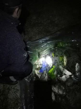 С помощью двух сеток нарушитель поймал 9 кг рыбы, - рыбоохранный патруль