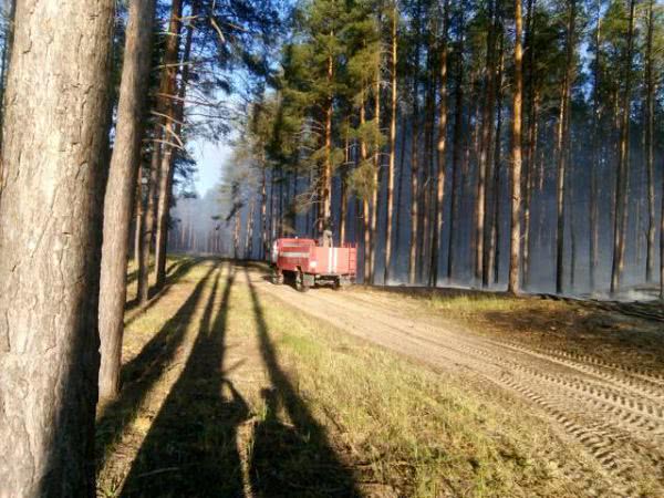 В области продолжают возникать пожары в экосистемах