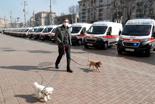 Если у вас нет собаки и денег на штраф: важные вопросы о карантине