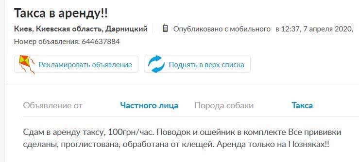 "Вы еще ребенка сдайте в аренду!" Украинцев разгневал бизнес на карантине