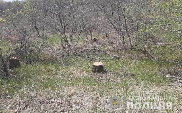 В Белозерском районе браконьера убежал от лесничего