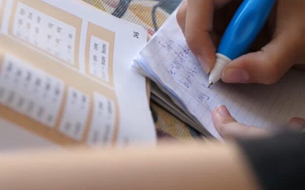 Всеукраинская школа онлайн - родителям предложили оценить учителей и их уроки