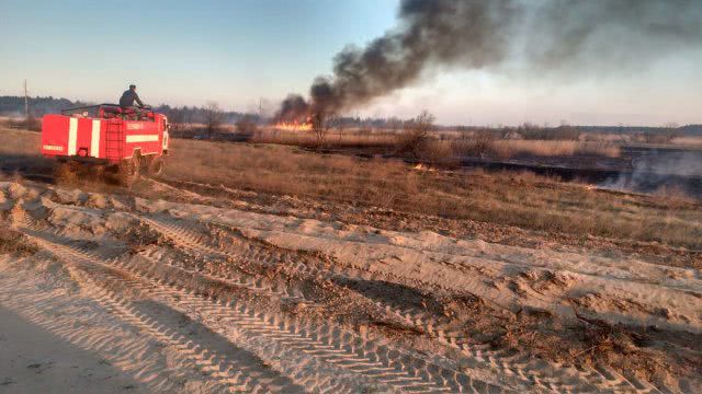 За минувшие сутки спасатели 10 раз привлекались к тушению пожаров в экосистемах