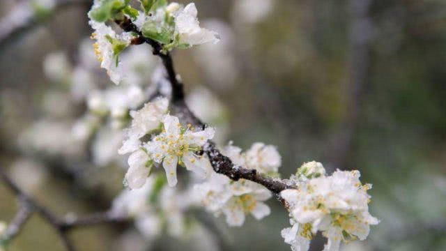 Немного похолодает, но не везде: синоптики уточнили прогноз на 17 апреля