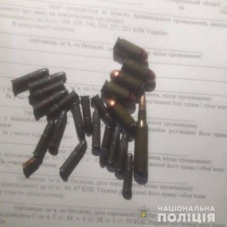 За сутки полицейские изъяли у жителей области взрывчатое вещество и боеприпасы