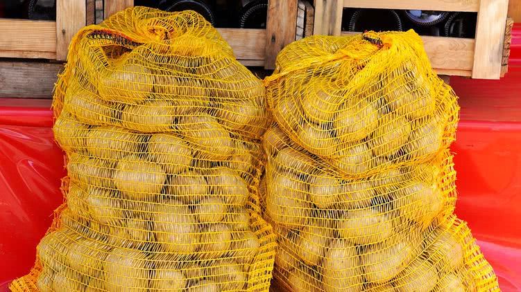 Майские заморозки могут существенно сократить урожай картофеля в Украине