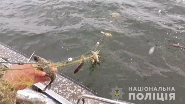 Херсонські поліцейські на воді попередили незаконний видобуток водних біоресурсів на суму 22,5 тисячі гривень