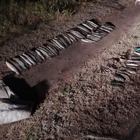 На Херсонщине с помощью тепловизора пограничники обнаружили браконьера