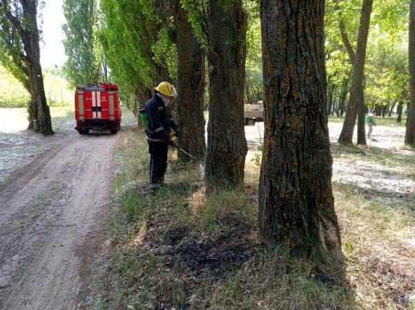 Каховские спасатели тушили сухую подстилку в лесу