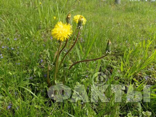 Жара с дождями и грозами: синоптики рассказали о погоде на выходные