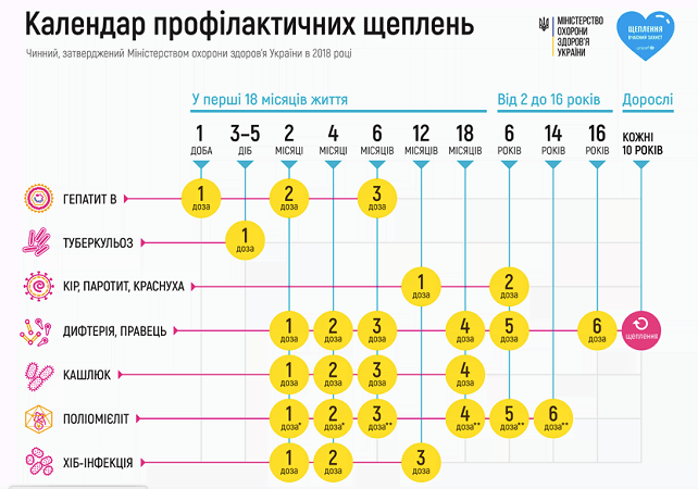 Календарь профилактических прививок