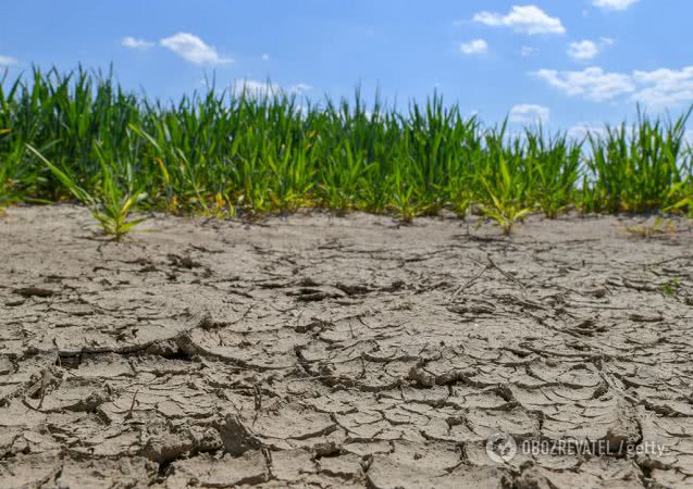 Земля превратилась в пыль