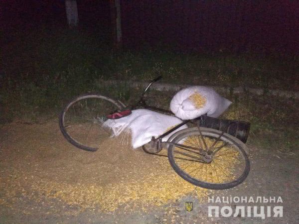На Херсонщині поліція помістила в ізолятор підозрюваного в смертельній ДТП