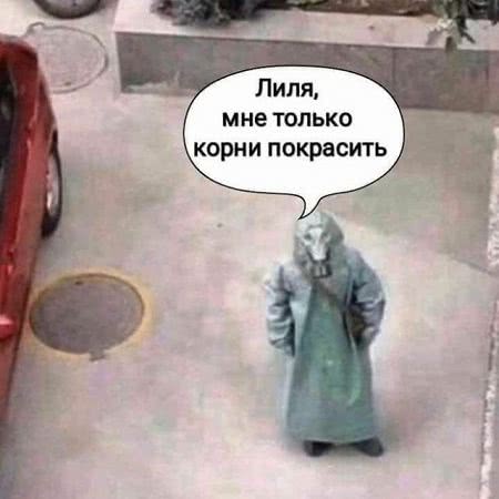 Карантин есть карантин: лучшие мемы про самоизоляцию и удаленку
