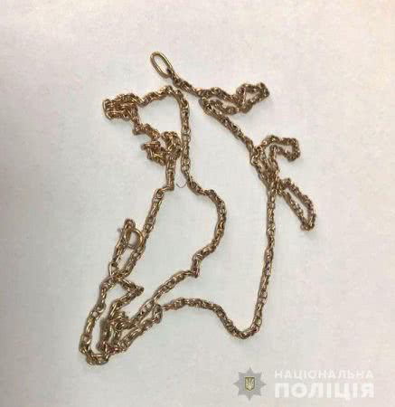 Новокаховські поліцейські затримали грабіжника літніх жінок