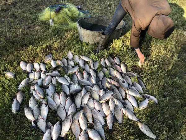 На Каховском водохранилище задержали браконьеров с 57 кг рыбы