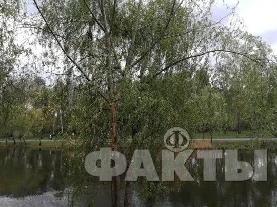 Мерзлякам — не грустить: синоптик рассказала о погоде в конце мая и в начале июня (инфографика)