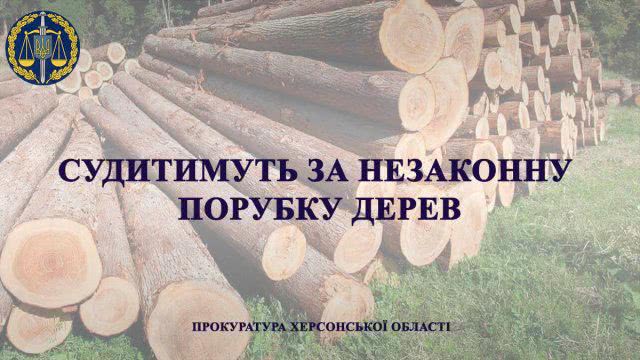 На Херсонщине будут судить 32 - летнего мужчину за незаконную вырубку деревьев