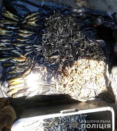 У Скадовському районі поліцейські зупинили автомобіль, водій якого перевозив 40 кг незаконно виловлених креветок та риби