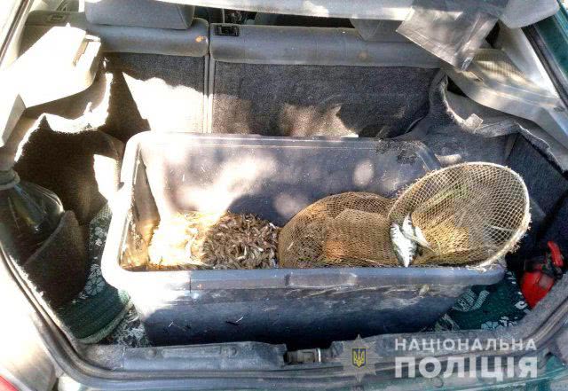 В Скадовском районе полицейские остановили автомобиль с подозрительным грузом креветок и рыбы