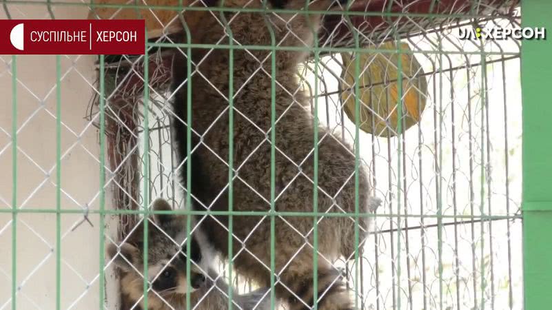 Гідропарк у Херсоні готують до літнього сезону