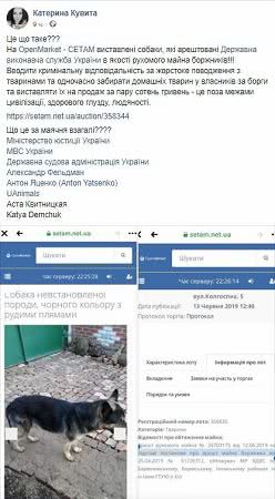 За долги у украинцев забирают даже собак - "движимое имущество" продают с молотка