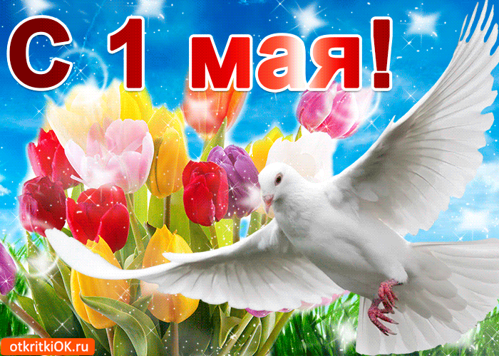 С 1 Мая: картинки и смс