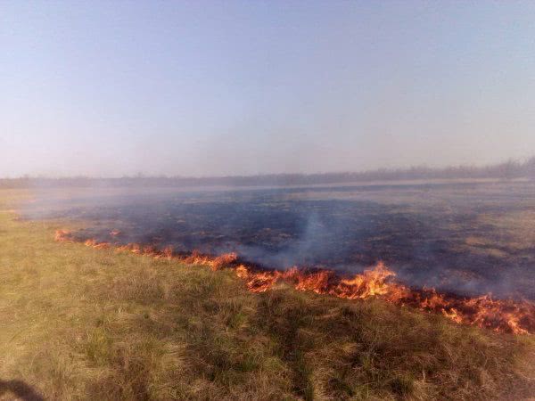 В області за добу 10 разів горіли суха трава, очерет та сміття