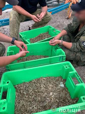 Водна поліція Херсонщини викрила браконьєрів під виглядом науково-дослідного лову