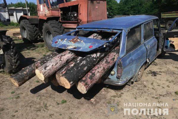 В Олешківському районі поліція встановлює особу лісового браконьєра