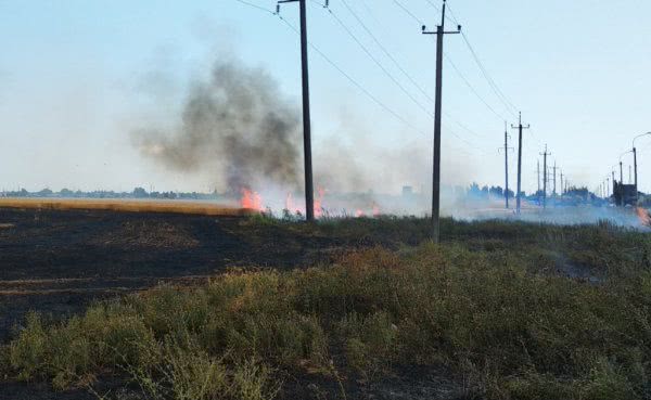 У Генічеську горіло пшеничне поле