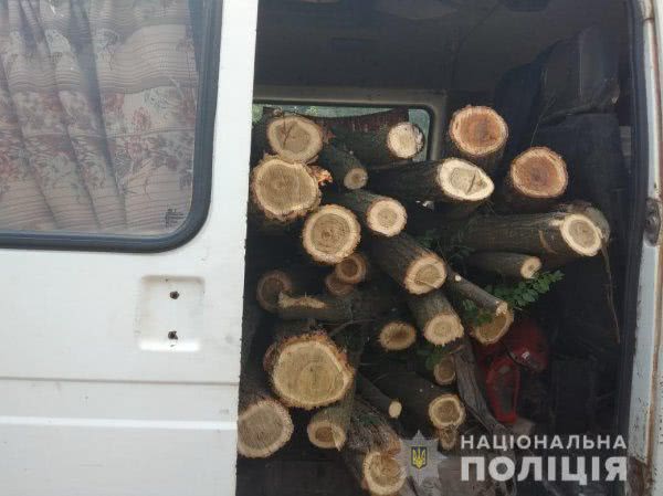 Великолепетиські поліцейські затримали лісового браконьєра