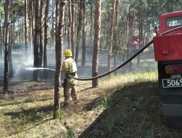 В Олешківському лісомисливському господарстві ліквідовано пожежу хвойної підстилки