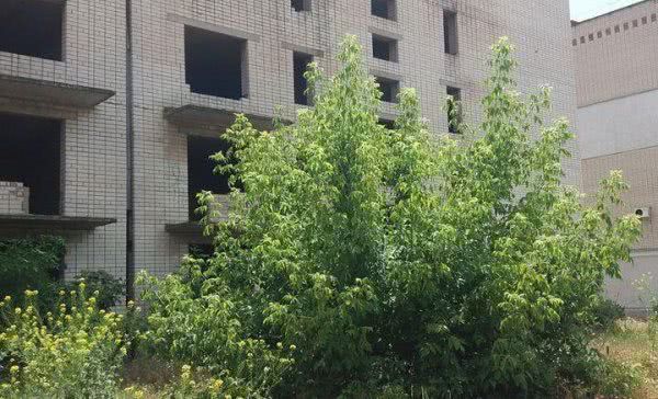 Поліція з’ясовує обставини загибелі неповнолітньої в Каховському районі