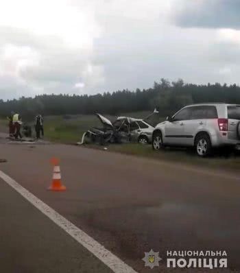 Поліція встановлює обставини смертельної ДТП між Олешками та Великими Копанями