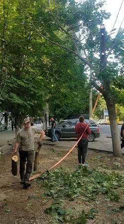 На проспекті Ушакова спиляли здорові дерева, буде парковка