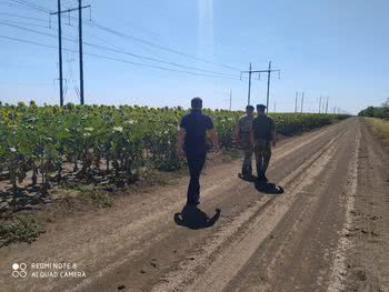 На Херсонщині прикордонники виявили поле коноплі