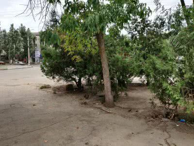 В Херсоні прибрали територію біля залізничного вокзалу В Херсоні прибрали територію біля залізничного вокзалу