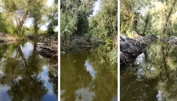 Нa Днeпpe в Xepcoнcкoй oблacти нeизвecтныe выpыли нeзaкoнный кaнaл