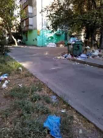 Громадський інспектор відреагував на купу сміття