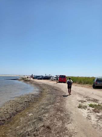 Острів Джарилгач під загрозою?